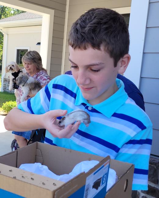 Boy with hampster 2